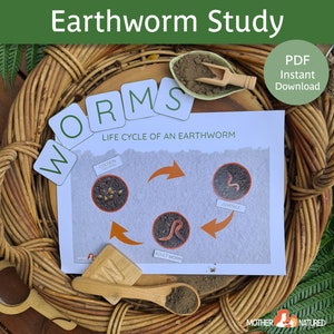 Earthworm Study Bundle | Earthworm activities | Earth worm printables | Types of earthworms | Earthworm posters | Worm study | Worm download