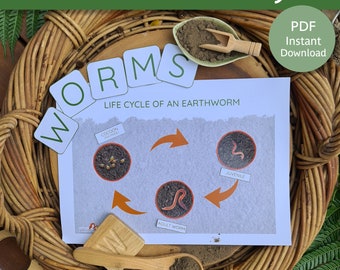 Earthworm Study Bundle | Earthworm activities | Earth worm printables | Types of earthworms | Earthworm posters | Worm study | Worm download