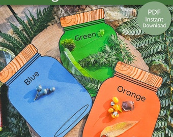 Sorting Color Activity | Sorting Colour Activity | Colour Recognition Montessori | Colour Activity Preschool | Color Activity Preschoolers