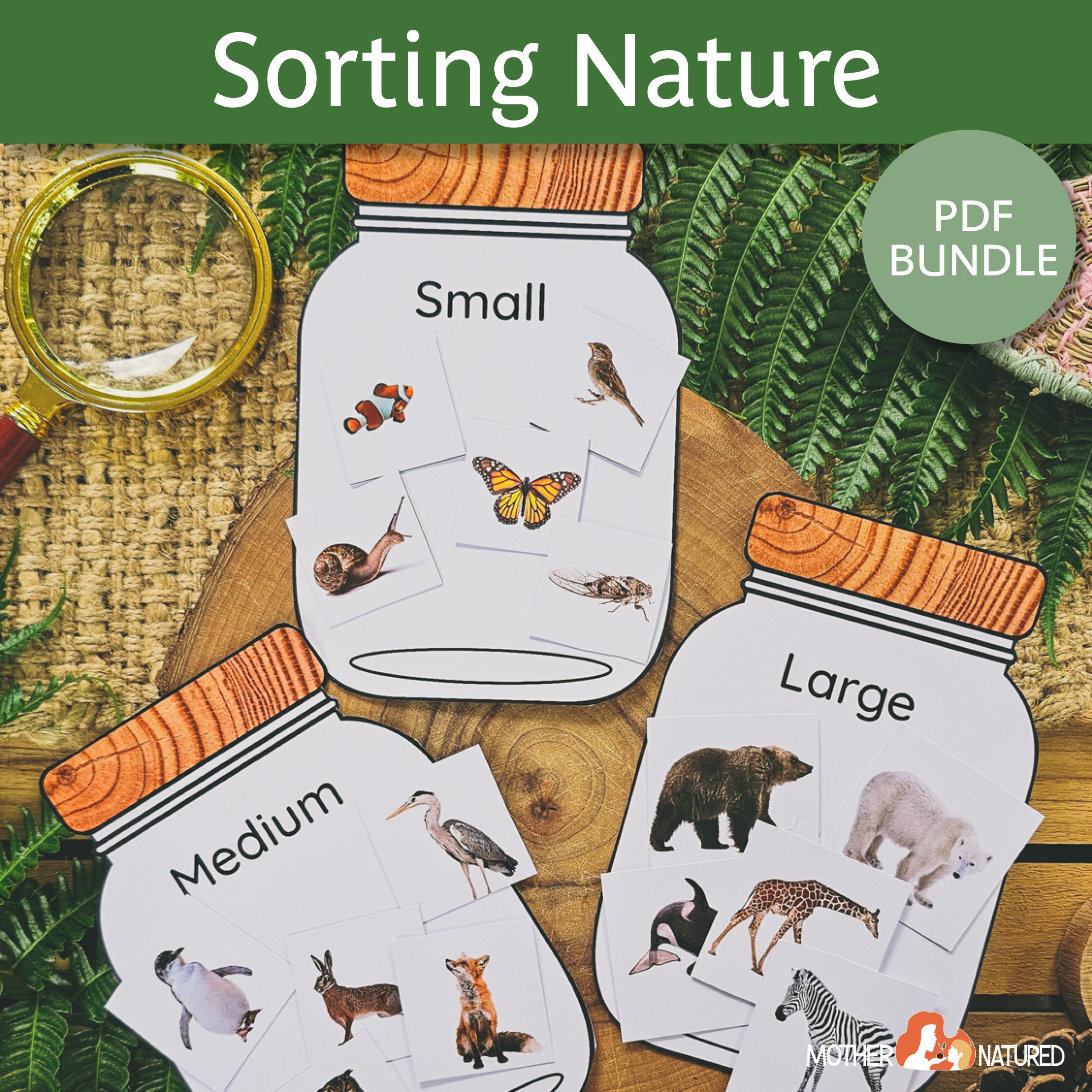 Animal Sorting Activity Nature Sorting Activity Outdoor Etsy Australia