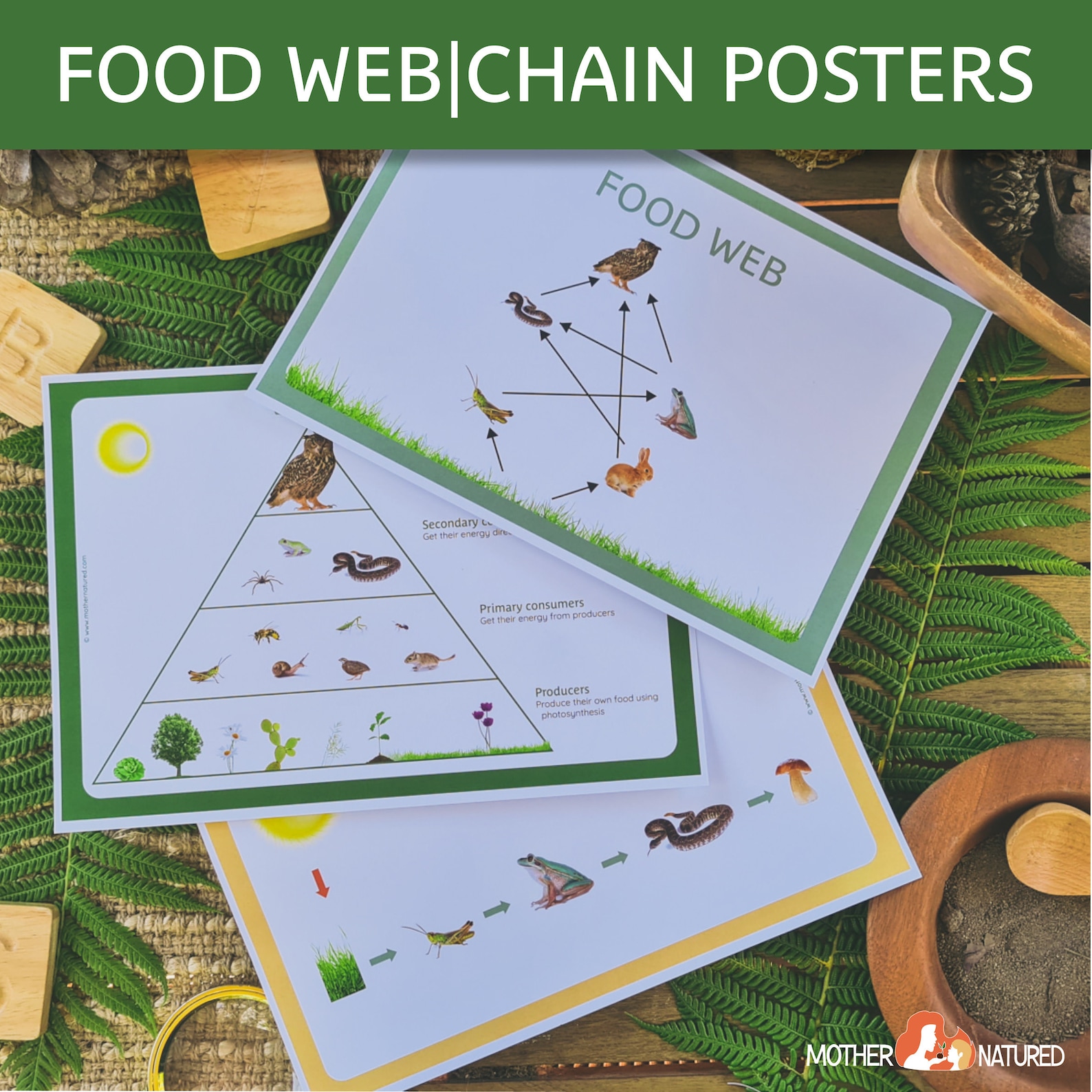 Food Chain Printables Bundle Food We Printables Bundle Biology Diagrams