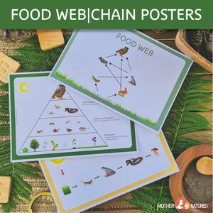 Food Chain Printables Bundle Food We Printables Bundle - Etsy