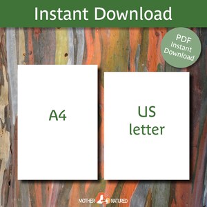 May include: Two white rectangles with text on a colorful background. The text on the left rectangle says "A4" and the text on the right rectangle says "US letter". The background is a close-up of a tree trunk with a colorful, layered bark pattern.