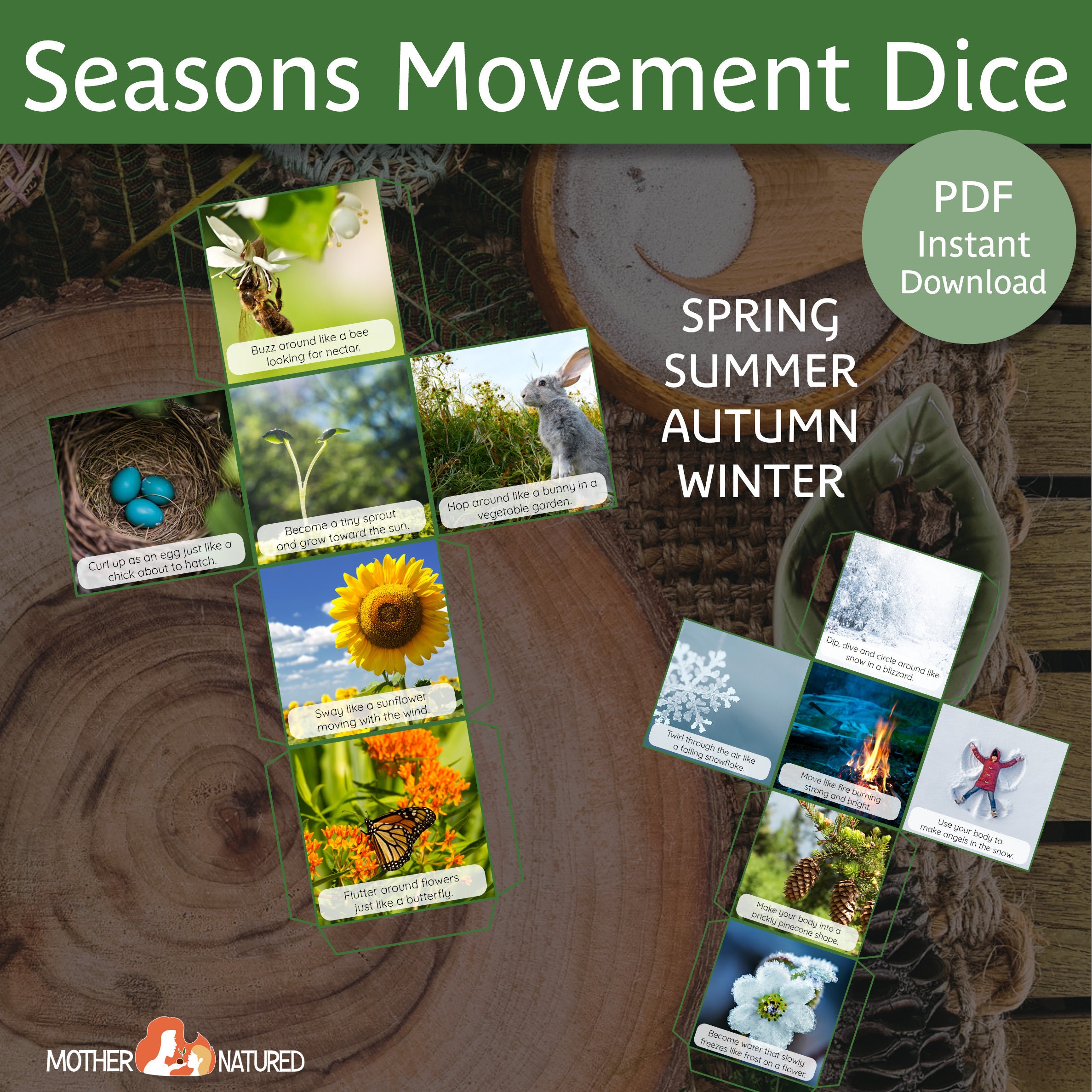 Season Movement Activity | Seasons Movement Dice | Season Activity for ...