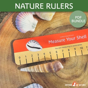 May include: A printable ruler with a seashell design. The ruler is orange and yellow with black markings. The ruler is labeled "Measure Your Shell" and "You are measuring in centimeters".