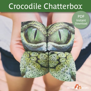 CROCODILE CHATTERBOX | Crocodile Cootie Catcher | Crocodile Facts | Crocodile Activity | Crocodile Printable | Crocodile Craft