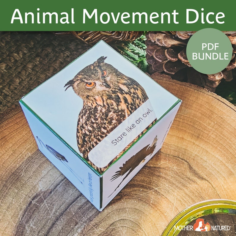 Puede incluir: Un cubo blanco con bordes verdes, que muestra un b&uacute;ho con el texto "Stare like an owl." en un lado. El cubo est&aacute; sobre una superficie de madera.