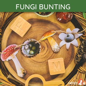 Fungi Bunting | Mushroom Bunting | Mushroom Decor | Mushroom Classroom | Mushroom Decorations