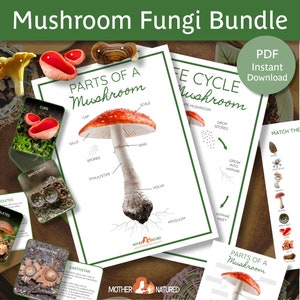 Fungi Study Bundle | Mushroom Study Bundle | Fungi Printables | Charlotte Mason