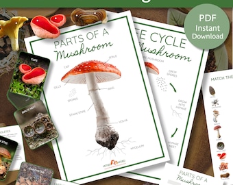 Fungi Study Bundle | Mushroom Study Bundle | Fungi Printables | Charlotte Mason