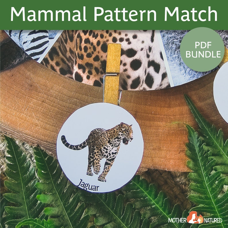 Op de afbeelding: Een printbare PDF-bundel met dierpatroon-matchingkaarten. De kaarten tonen een jaguar, een zebra en een luipaard. De kaarten zijn ontworpen voor kinderen om dierpatronen te leren kennen.
