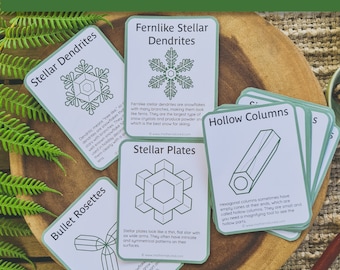 Snowflake Shapes | Types of Snowflakes | Snowflake flashcards | Snowflake classroom printables | Montessori Winter printables