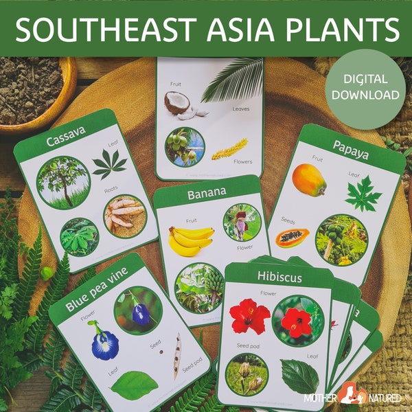 Southeast Asia Native Plant Study | South East Asia Plant Flash Cards | Plants of Southeast Asia | Southeast Asia Flora