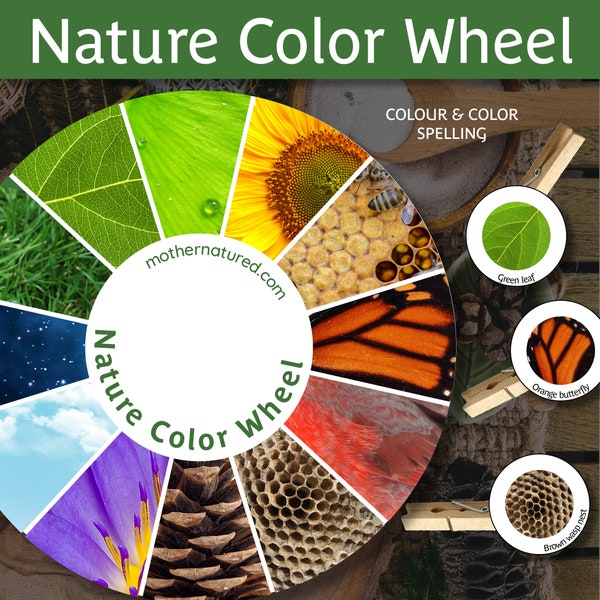 Spring Nature Activity | Spring Colour Hunt | Spring Nature Color Wheel | COLOUR & COLOR spelling | Spring Outdoor Activity