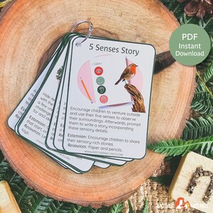 May include: A set of colorful cards with a green, pink, and white circle with five senses icons. The cards have the text "5 Senses Story" and "I can:" with a robin perched on a branch. The cards are on a wooden surface with green foliage.