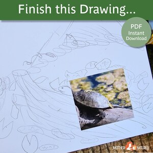 Drawing Prompt for Kids | Kids Art Prompt | Art worksheet | Drawing worksheet | Nature Sketching | Sketching Prompt