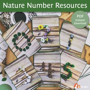 Natuurnummerkaarten en posters | Natuurnummerkaarten | Natuurnummerposters | Natuurwiskunde | Buiten wiskunde | Natuur nummer klas decor