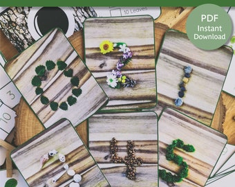 Tarjetas y carteles de números de la naturaleza / Tarjetas de números de la naturaleza / Carteles de números de la naturaleza / Matemáticas de la naturaleza / Matemáticas al aire libre / Decoración del aula de números de la naturaleza