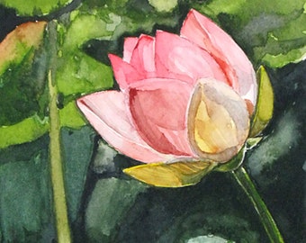 Seerose. Original Aquarell-Gemälde, signiert vom Künstler