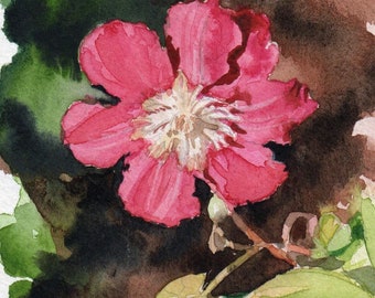 Clematis Watercolor Painting: Spring Garden Floral Art - Etsy 日本