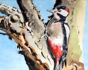 Great spotted woodpecker. Original watercolour painting, signed by the artist