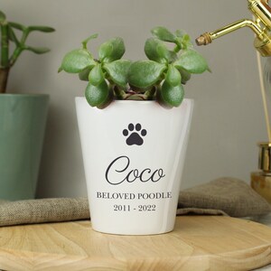 May include: White ceramic planter with a black paw print and the text "Coco Beloved Poodle 2011 - 2022". A small green succulent plant is growing in the planter.