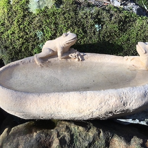 Puede incluir: Un bebedero ovalado beige con dos esculturas de ranas en el borde. El bebedero está hecho de un material texturizado y descansa sobre rocas, con musgo en el fondo. Las ranas están en una pose relajada.