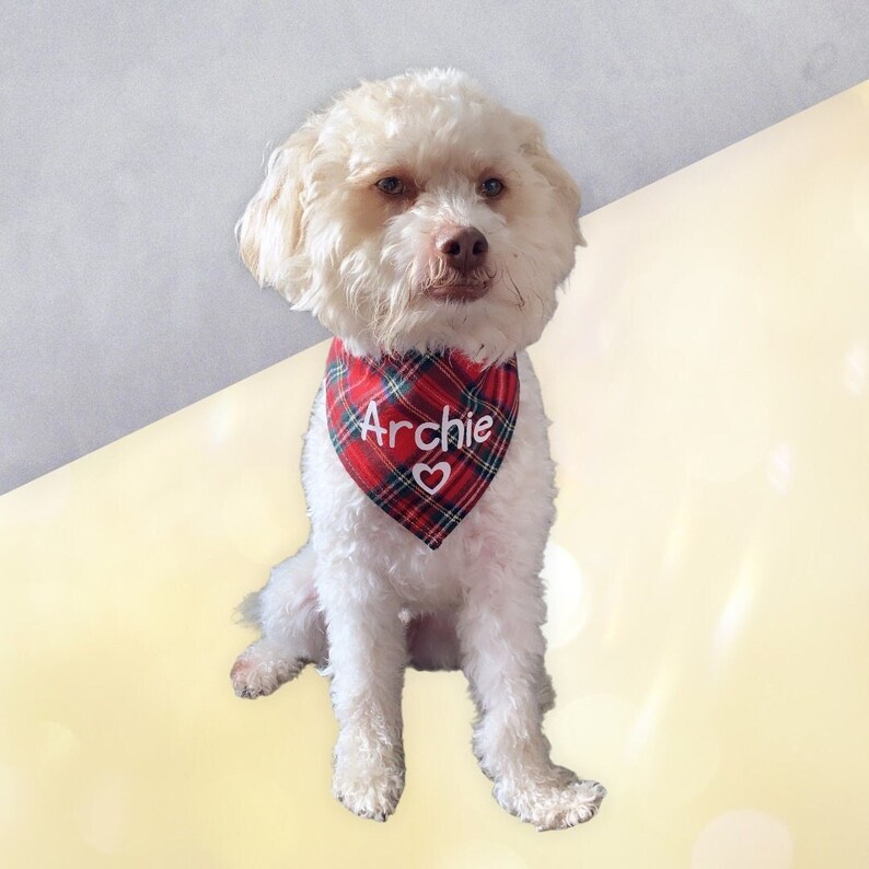 personalised dog scarf