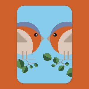 Kaart - Roodborstjes | A6 -  10 x 15 cm. | Vogel illustratie | Postkaart | Tuinvogel natuur tekening | cartoon ansichtkaart