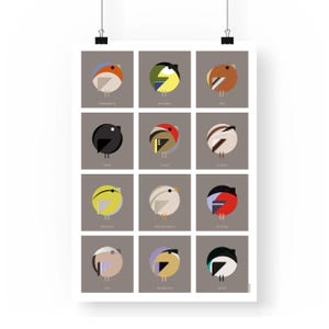 Art print United Birds | Dutch garden birds | Giclée Art Print | Wall Decor | Modern Graphic Design | Cartoon Illustration