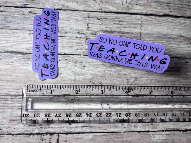 So No One Told You Teaching Was Going to Be This Way Sticker, Friends Sticker, Cute sticker, Trendy Sticker, Teacher Sticker, Teacher Gift image 3