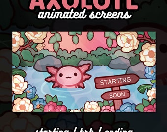 3 geanimeerde Axolotl-twitch-schermen | Esthetische schattige, knusse roze kawaiibloemen | Binnenkort beginnen, zo terug, eindigend