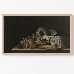 May include: A still life painting of a collection of seashells on a white surface. The shells are various shades of brown, white, and black. The background is a dark brown.