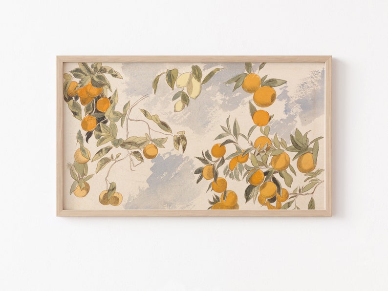 Frame TV Art File, Frame TV Art, Vintage Watercolor, Fruit Trees, Citrus Study, Neutral, Oranges, Lemons, Farmhouse Art 