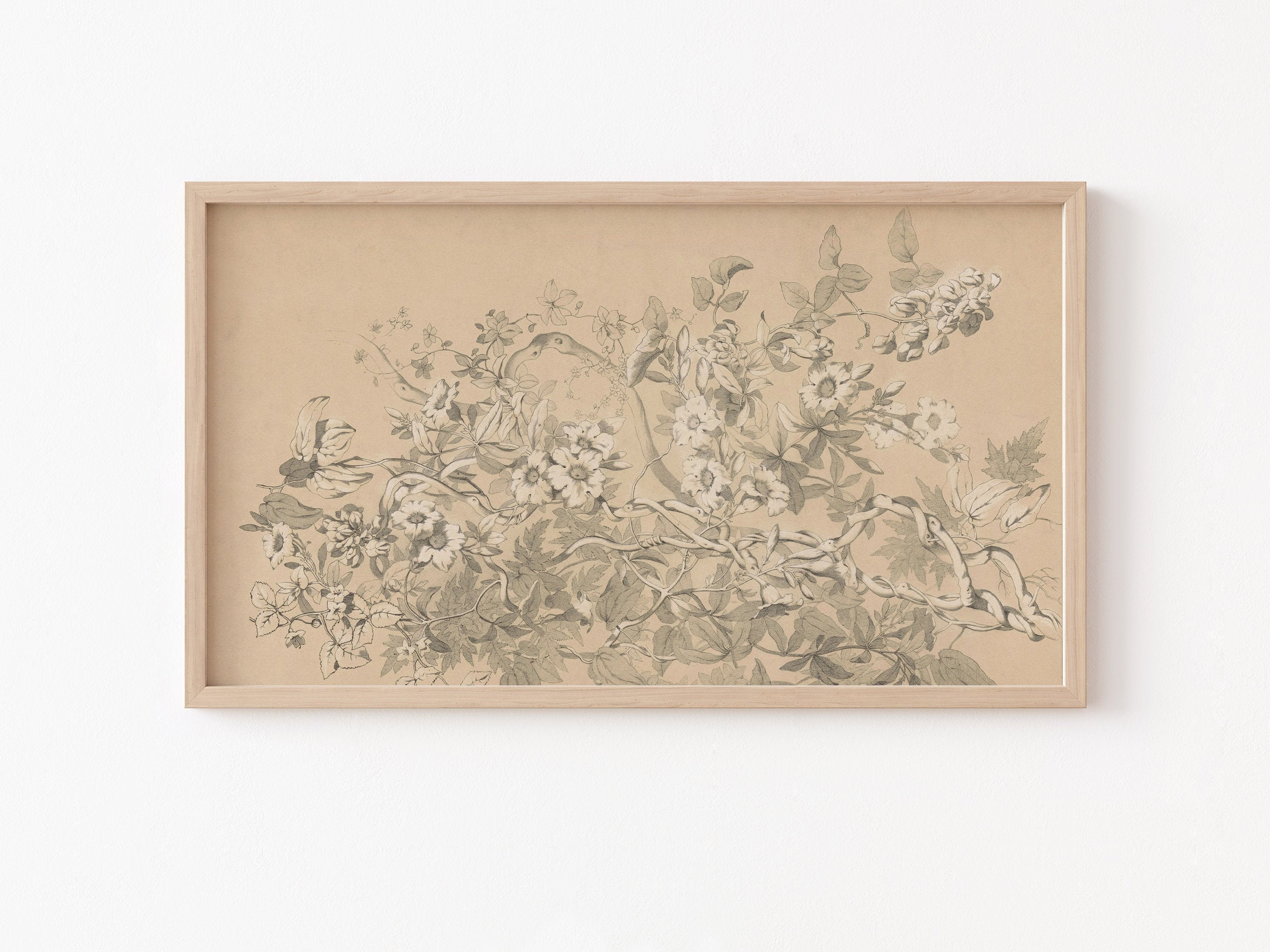 Frame TV Art Frame TV Art Vintage Flower Drawing Botanical - Etsy