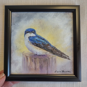 Original mini 5x5 oil painting  Swallow painting  bird painting framed painting bird lovers gift wildlife painting gift art nature painting