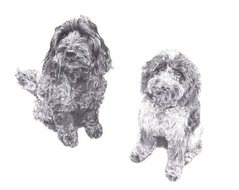 May include: A black and white pencil drawing of two dogs. The dogs are both sitting and looking at the viewer. The dog on the left is black and the dog on the right is white with black markings.
