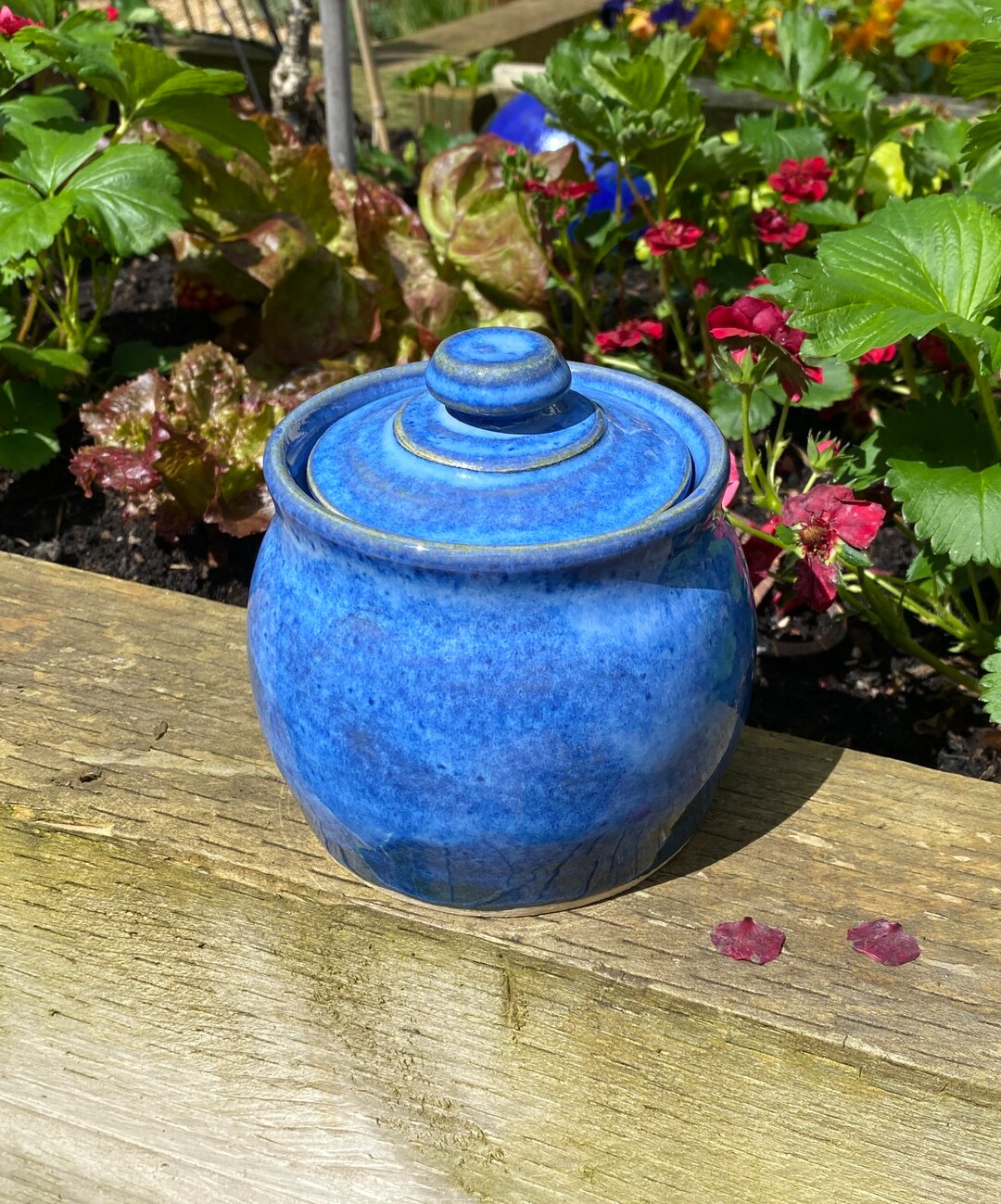 Lidded Pot Handmade Ceramic Lidded Jar Hand Thrown Etsy