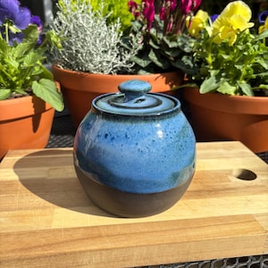 May include: A round ceramic jar with a lid. The jar is glazed in shades of blue and brown. The jar is sitting on a wooden chopping board. The background includes potted plants with flowers.