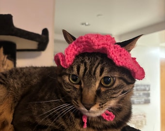 crotcheted hat for cats