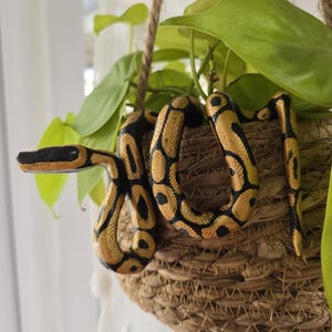 Polymer Clay Snake Plant Pot Decoration: Playful Plant Buddy