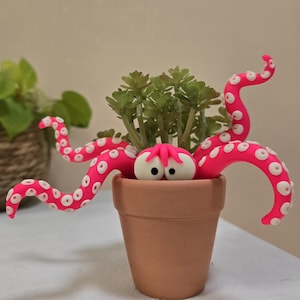 Puede incluir: Una maceta de terracota contiene una pequeña planta verde y un pulpo hecho a mano. El pulpo tiene tentáculos de color rosa brillante con ventosas blancas y una cabeza blanca con ojos negros. El pulpo parece estar asomándose de la maceta.