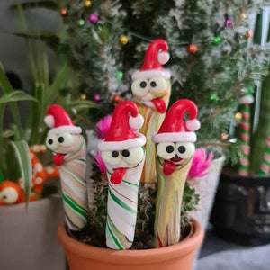 以下が含まれることがあります： テラコッタの鉢に、赤いサンタ帽をかぶった、キャンディケーン柄の奇抜なフィギュアで飾られたサボテンが入っています。フィギュアは、クリスマスのテーマにしたお祭り的なディスプレイを作り出す、キョロキョロした目とピンクのアクセントを持っています。小さなクリスマスツリーが背景にあります。