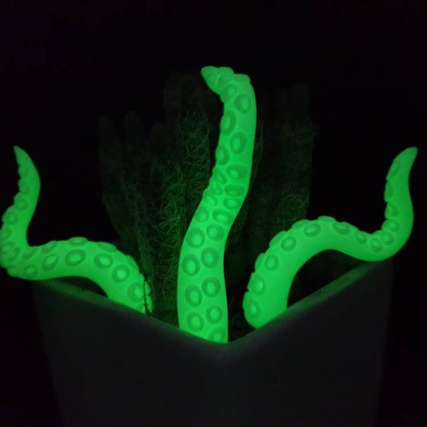 Glow in the dark, octopus tentacles , fairy garden , plant pot pet, home decoration,  gift filler,  unique gift