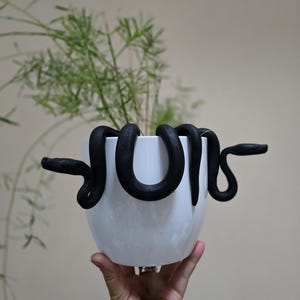 Black ,Polymer Clay Snakes | Unique Plant Pot Decor | Handmade Home & Garden Accent