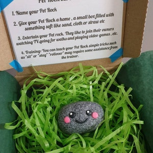 Piedra de arcilla polimérica, regalo divertido, regalo para escaladores, roca kawaii, piedra amigable, adorno de jardín, compañero de escritorio, regalo para papá. Abrazo de bolsillo. Tamaño carta