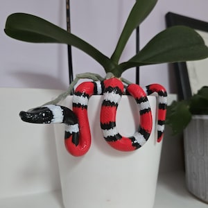 Könnte beinhalten: Eine dekorative Schlange in Rot, Schwarz und Weiß, die sich um einen weißen Keramiktopf windet. Der Topf enthält eine grüne Pflanze mit langen Blättern. Der Topf steht auf einem weißen Regal.