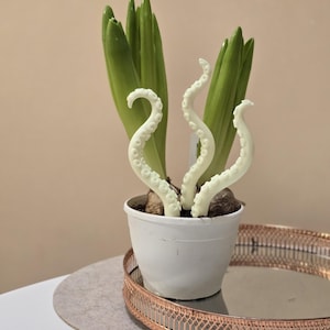 Vaso per piante con tentacoli di polpo che si illumina al buio: decorazione da giardino in pasta polimerica