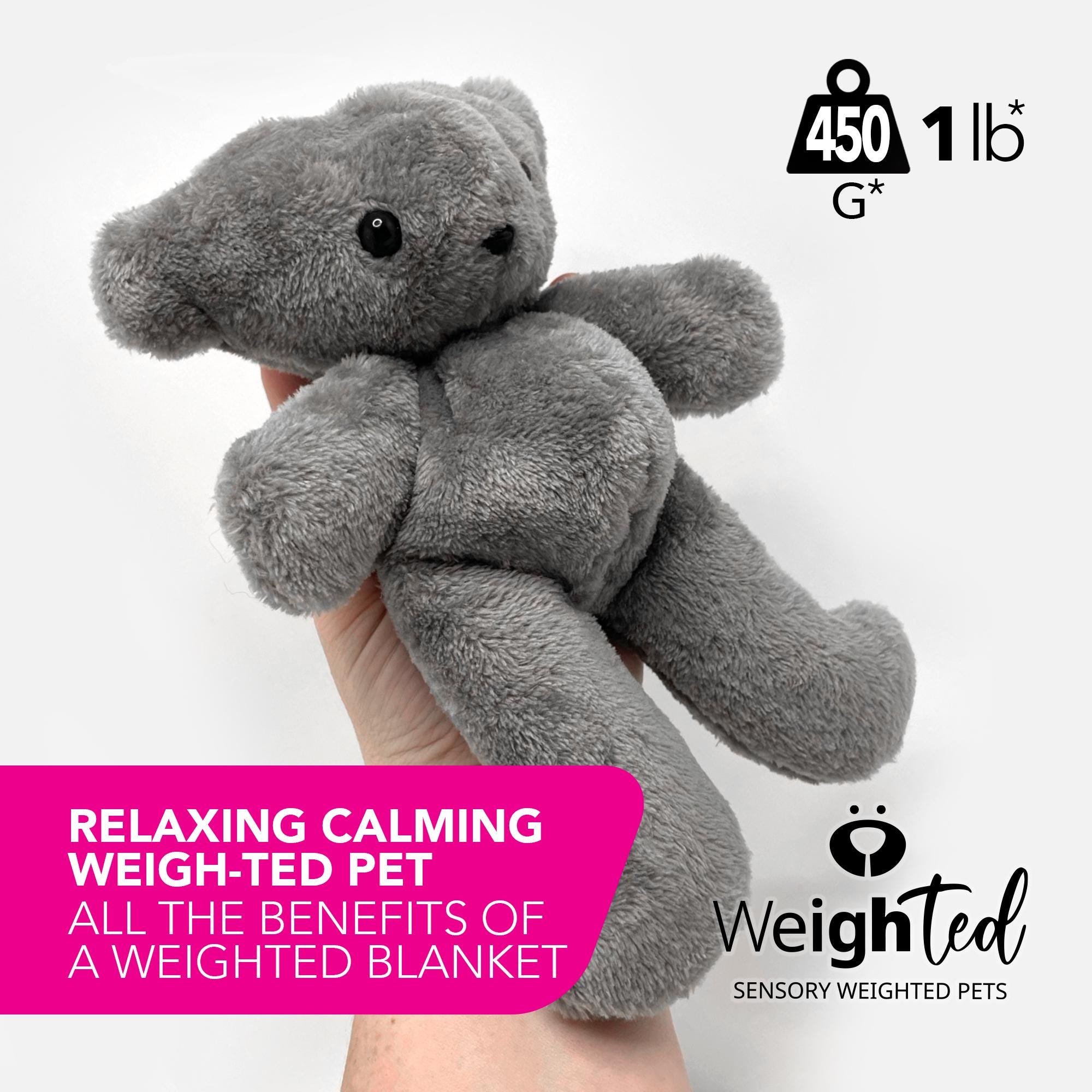 PDF SEWING PATTERN - 450g Weigh-ted Teddy Bear - Slater - Sew Your Own ...