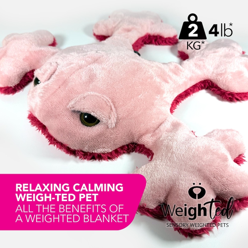 PDF SEWING PATTERN - 2kg Weigh-ted Frog - Blossom - Sew Your Own ...